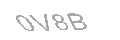 Güvenlik Kodu