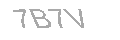 Güvenlik Kodu