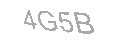 Güvenlik Kodu