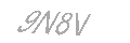 Güvenlik Kodu